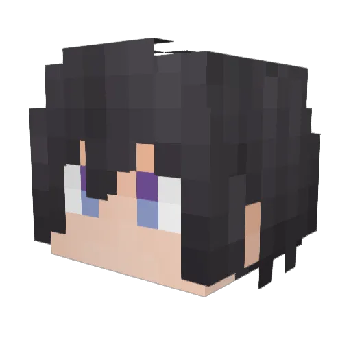 Lint10086 Minecraft avatar head, 3D render