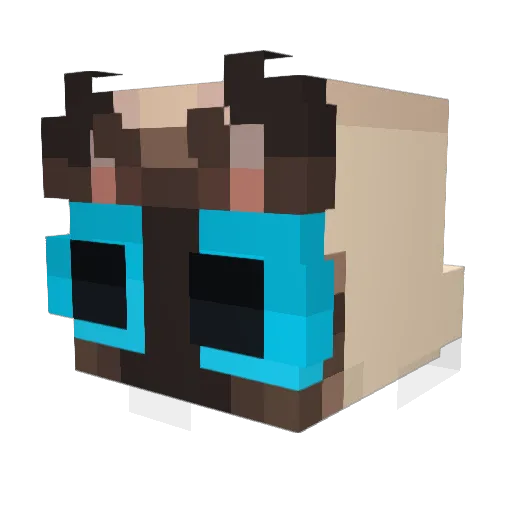 LintWave Minecraft avatar head, 3D render