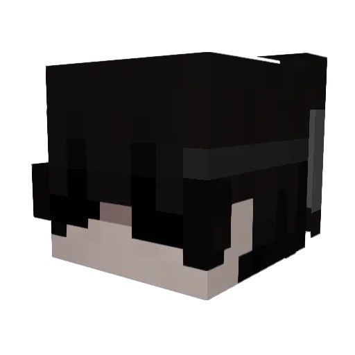 LintyKnight Minecraft avatar head, 3D render