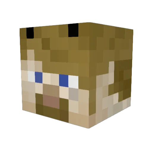 LintyPocket Minecraft avatar head, 3D render