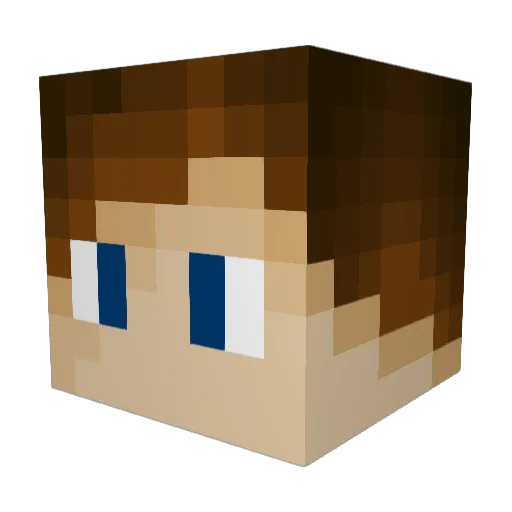 Linuphotos Minecraft avatar head, 3D render