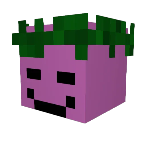LinusSmellzz Minecraft avatar head, 3D render