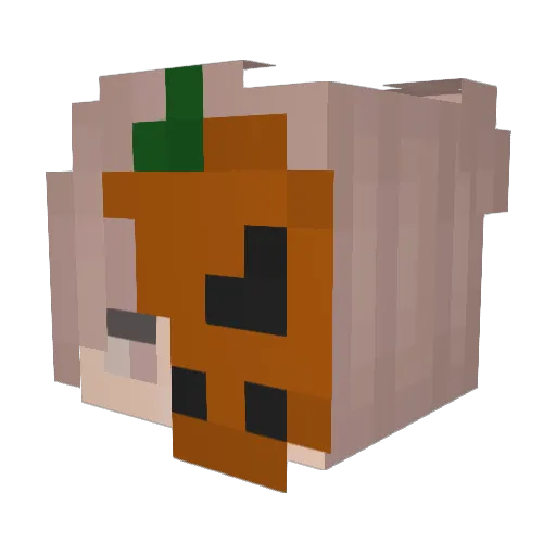 Linuso05 Minecraft avatar head, 3D render
