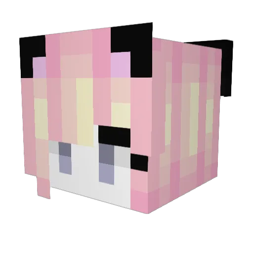 LinxGaming112 Minecraft avatar head, 3D render