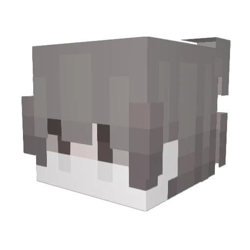 Linzilia Minecraft avatar head, 3D render