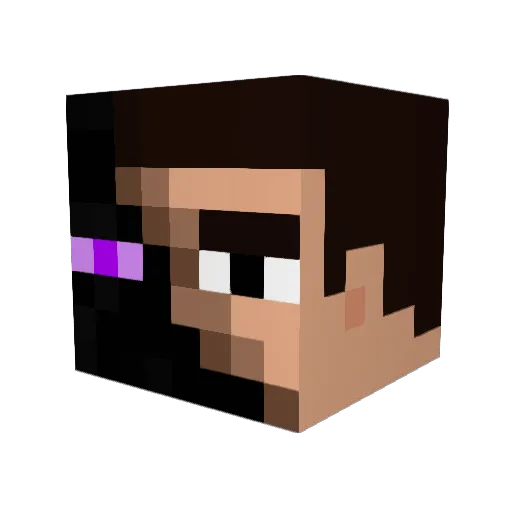 Lio003 Minecraft avatar head, 3D render