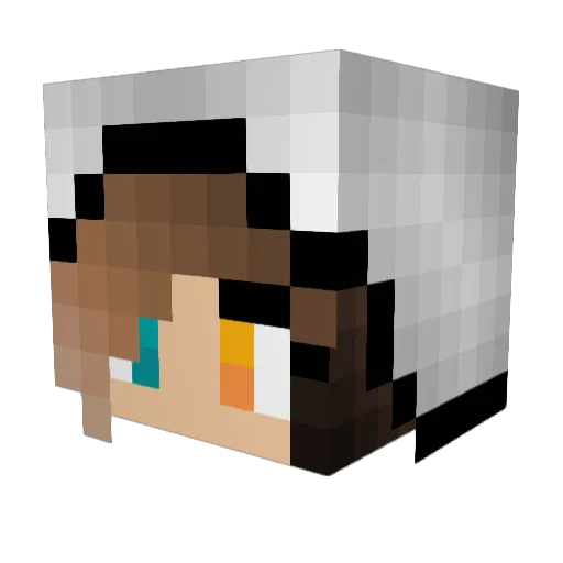 Lio762 Minecraft avatar head, 3D render