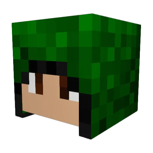Lion11 Minecraft avatar head, 3D render