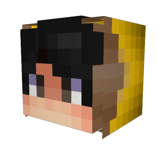 LionCub_800 Minecraft avatar head, 3D render