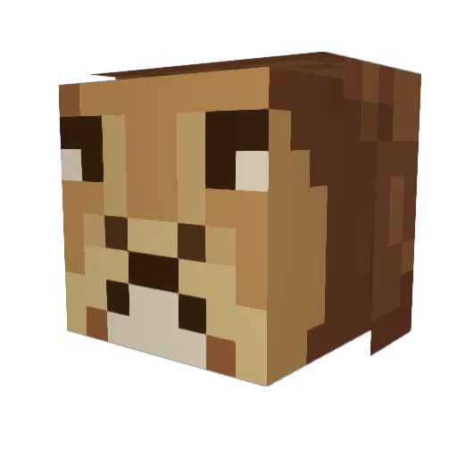 LionMaster888 Minecraft avatar head, 3D render