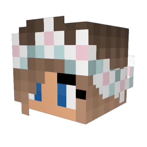 LionSlayer94 Minecraft avatar head, 3D render