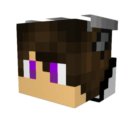Lion_Spirit Minecraft avatar head, 3D render