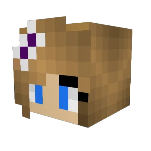 Lion_Tamer1367 Minecraft avatar head, 3D render