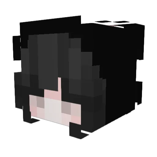 Lionfeu33 Minecraft avatar head, 3D render