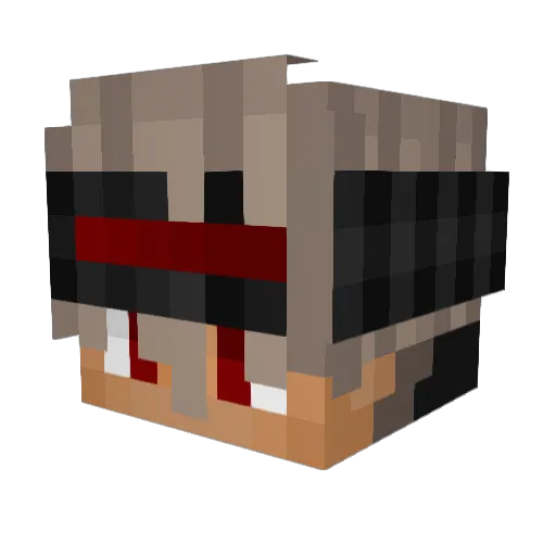 Lionheart2161 Minecraft avatar head, 3D render