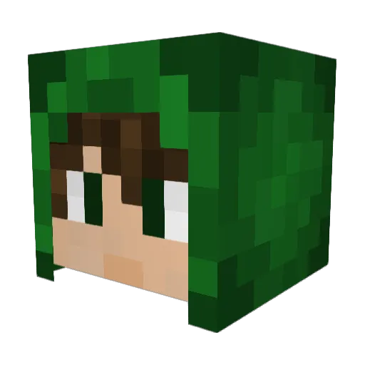 Lionheart982 Minecraft avatar head, 3D render