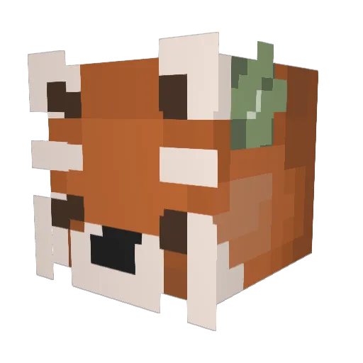 Lionhearted87 Minecraft avatar head, 3D render