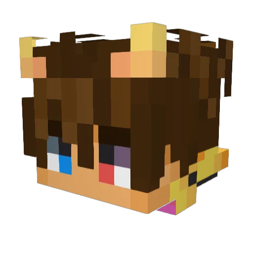 Lionn02 Minecraft avatar head, 3D render