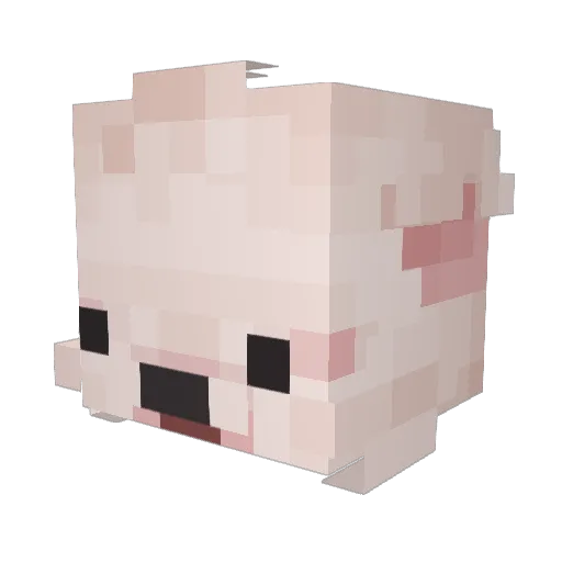 Lionnz_ Minecraft avatar head, 3D render