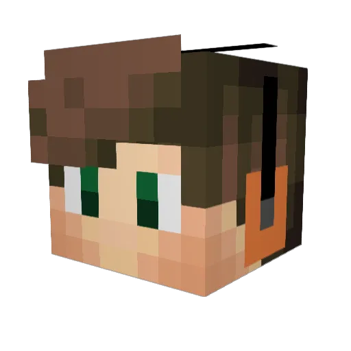 LionsDen6741 Minecraft avatar head, 3D render