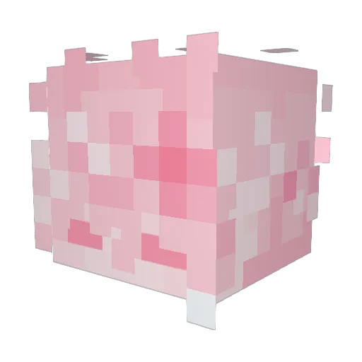 Liovi Minecraft avatar head, 3D render
