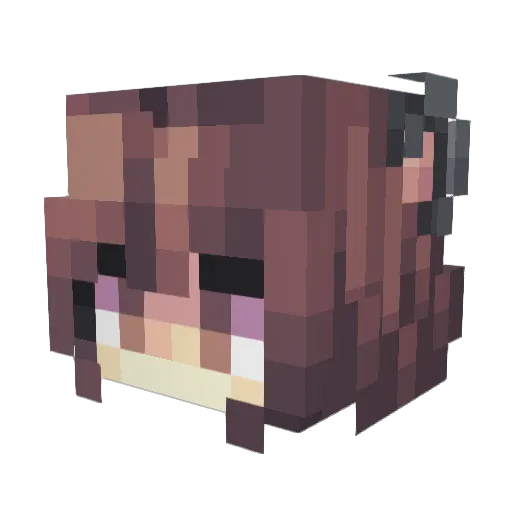 Liovia Minecraft avatar head, 3D render