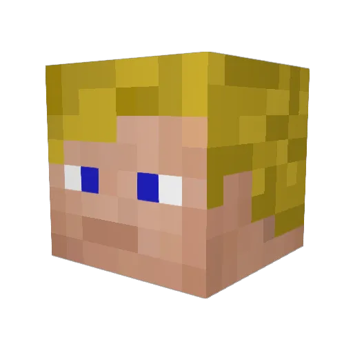 Liox06 Minecraft avatar head, 3D render