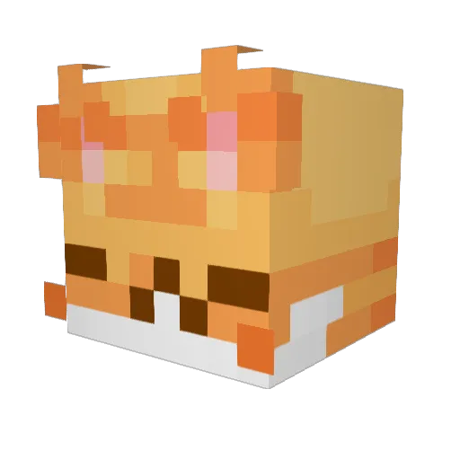 Lipe159 Minecraft avatar head, 3D render
