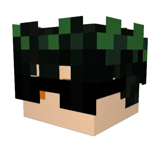 Lipe4009 Minecraft avatar head, 3D render