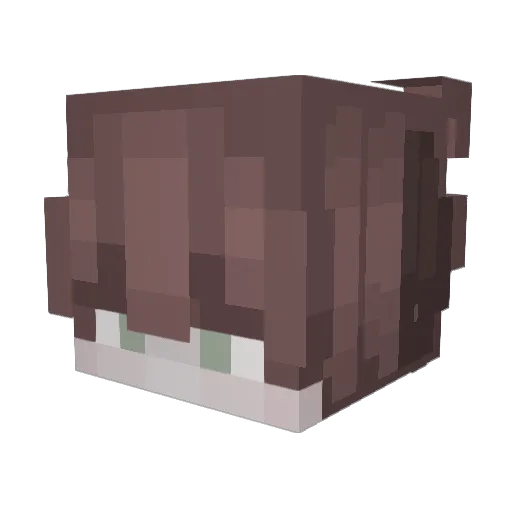 Lipichun Minecraft avatar head, 3D render