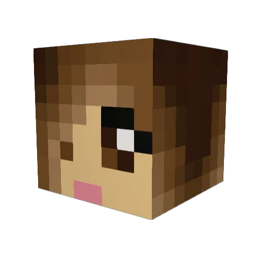 Lippi666 Minecraft avatar head, 3D render