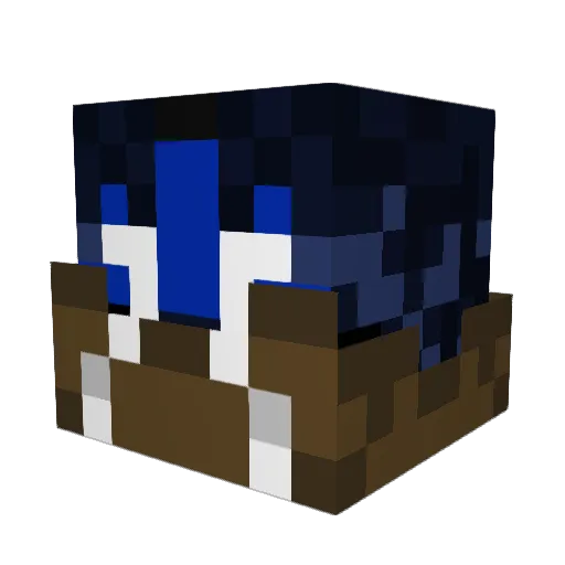 Lippi91 Minecraft avatar head, 3D render