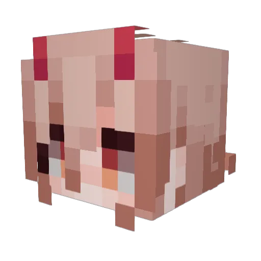 LippyLiz_ Minecraft avatar head, 3D render
