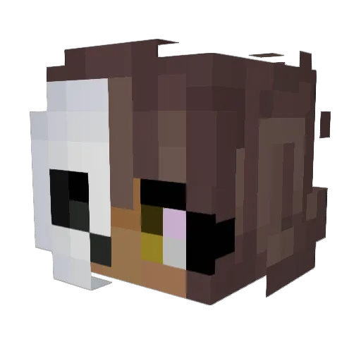 Liquid87 Minecraft avatar head, 3D render