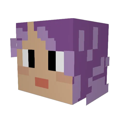 LiquidBearcat Minecraft avatar head, 3D render