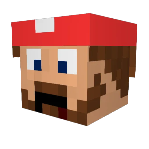 LiquidDestroyer Minecraft avatar head, 3D render