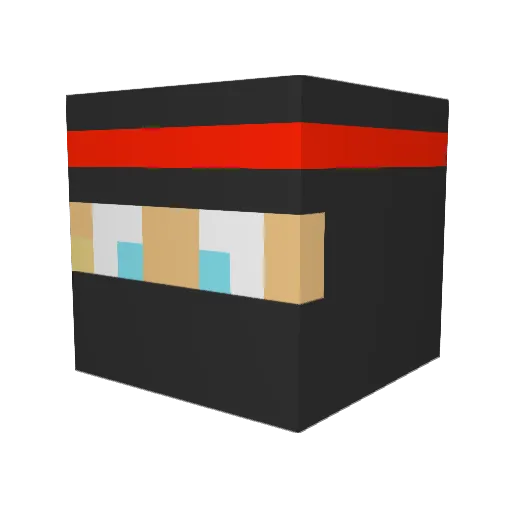 LiquidNinja Minecraft avatar head, 3D render