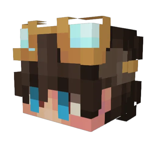 LiquidSonic Minecraft avatar head, 3D render