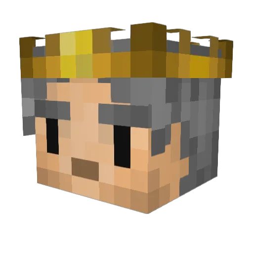 LiquidSponge Minecraft avatar head, 3D render