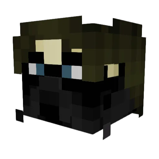 Liquid_Blitz Minecraft avatar head, 3D render