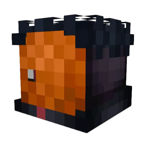 Liquid_Member Minecraft avatar head, 3D render