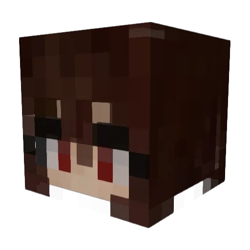 Liquid_eggs Minecraft avatar head, 3D render