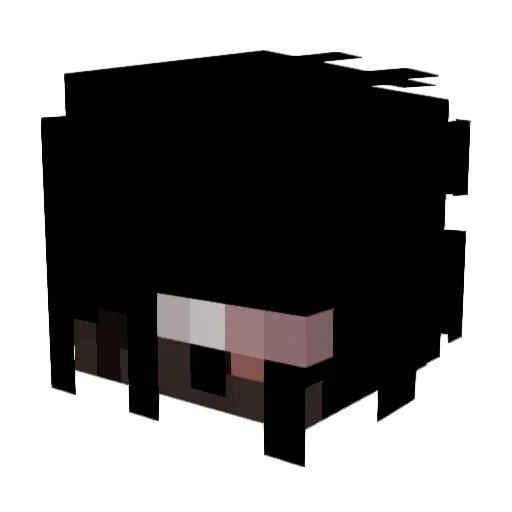 Liquidant Minecraft avatar head, 3D render