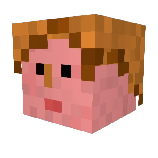 Liquidz09 Minecraft avatar head, 3D render