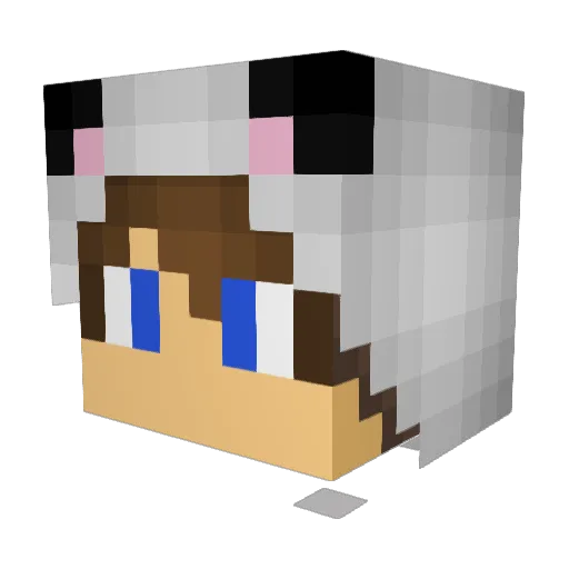 Liquidz_ Minecraft avatar head, 3D render