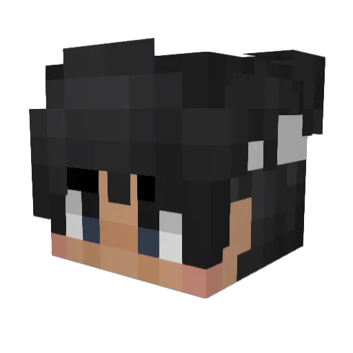 Liquior Minecraft avatar head, 3D render