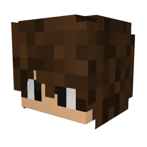 Liqwmmmm Minecraft avatar head, 3D render