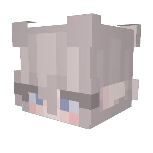 Lir_v Minecraft avatar head, 3D render