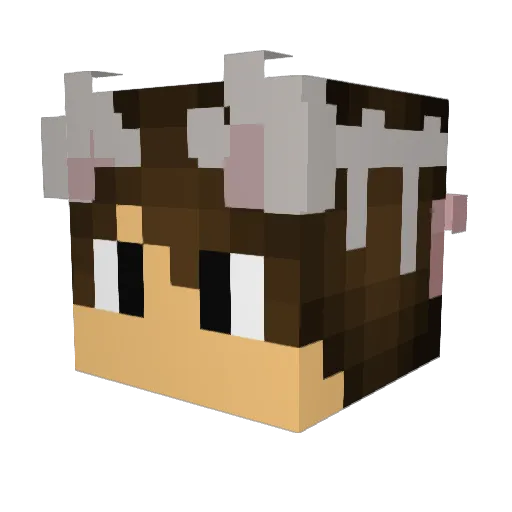 Liro222 Minecraft avatar head, 3D render