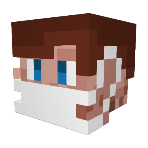 Lironbiton1 Minecraft avatar head, 3D render